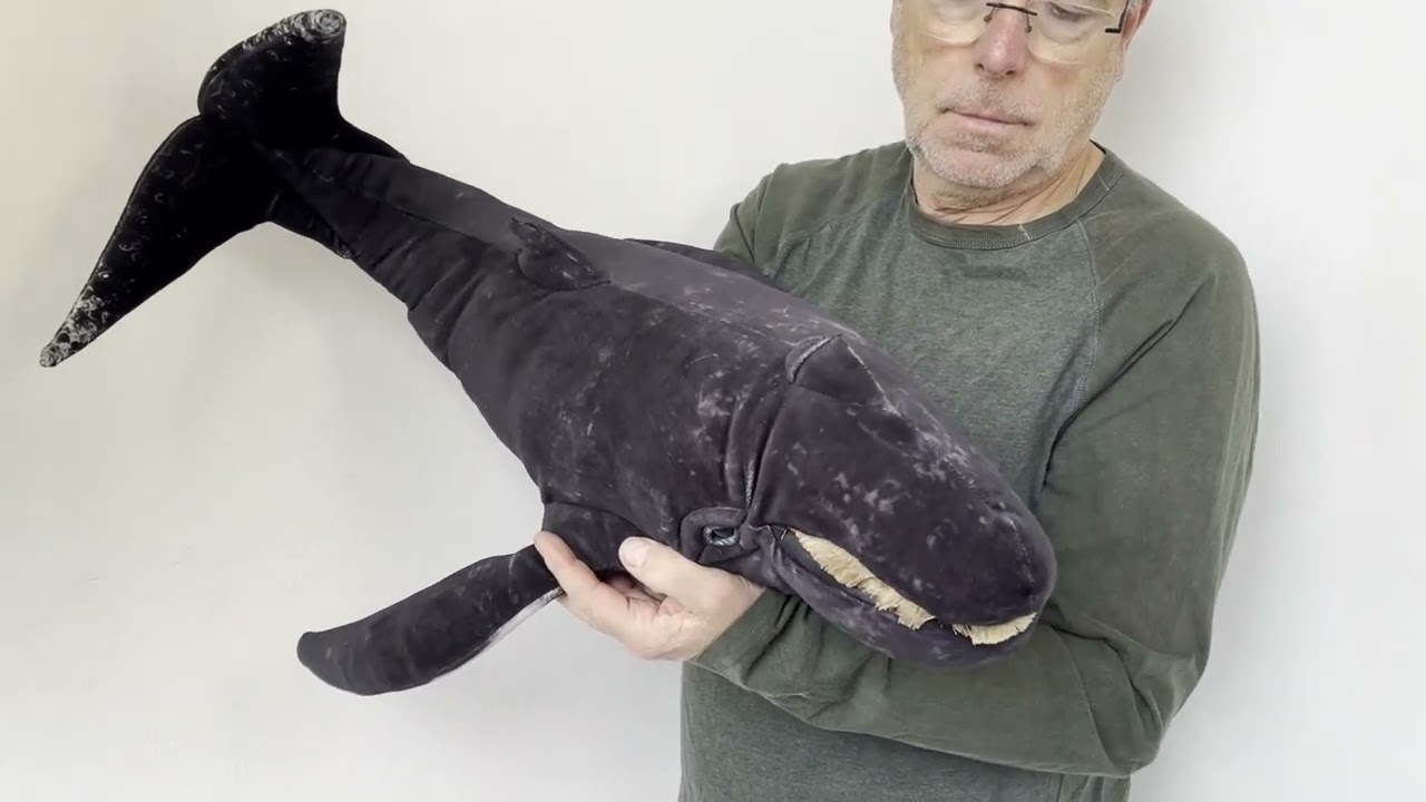 Folkmanis Humpback Whale Hand Puppet Demo