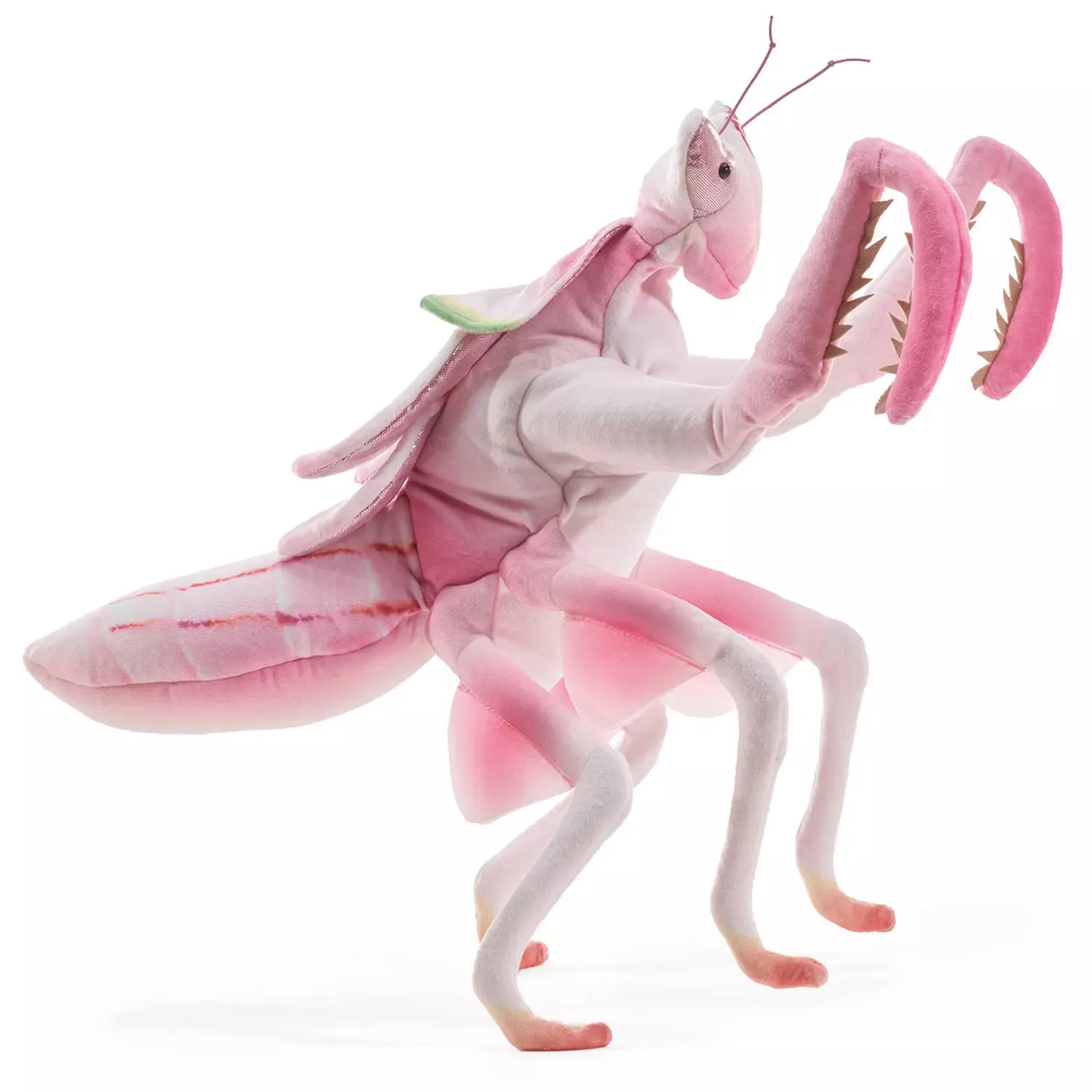 Folkmanis Orchid Mantis Hand Puppet Folkmanis Orchid Mantis Hand Puppet - Produktbild 2