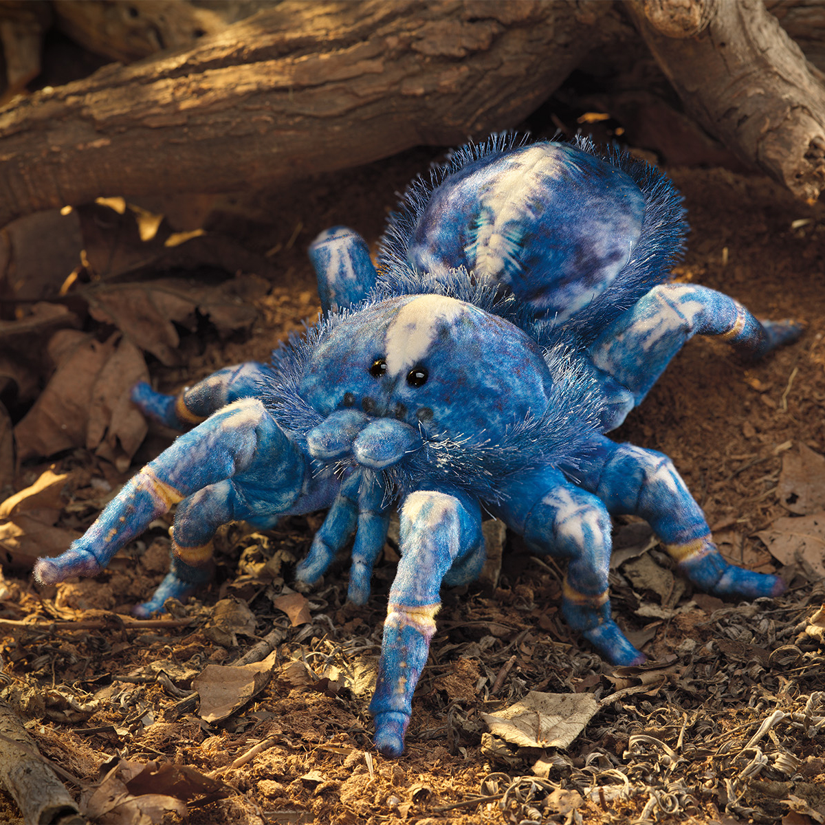 Folkmanis hand puppet blue ornament tarantula in blue and white plush with eight legs and black eyes, front view on forest floor