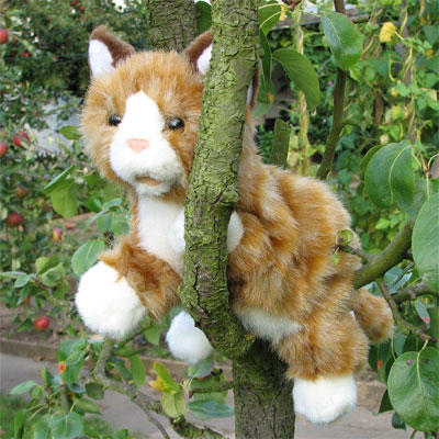 Living Puppets hand puppet brown cat at a tree trunk in the garden