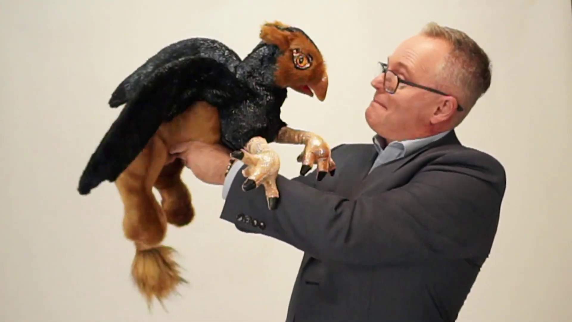 Folkmanis Handpuppe Greif Demo