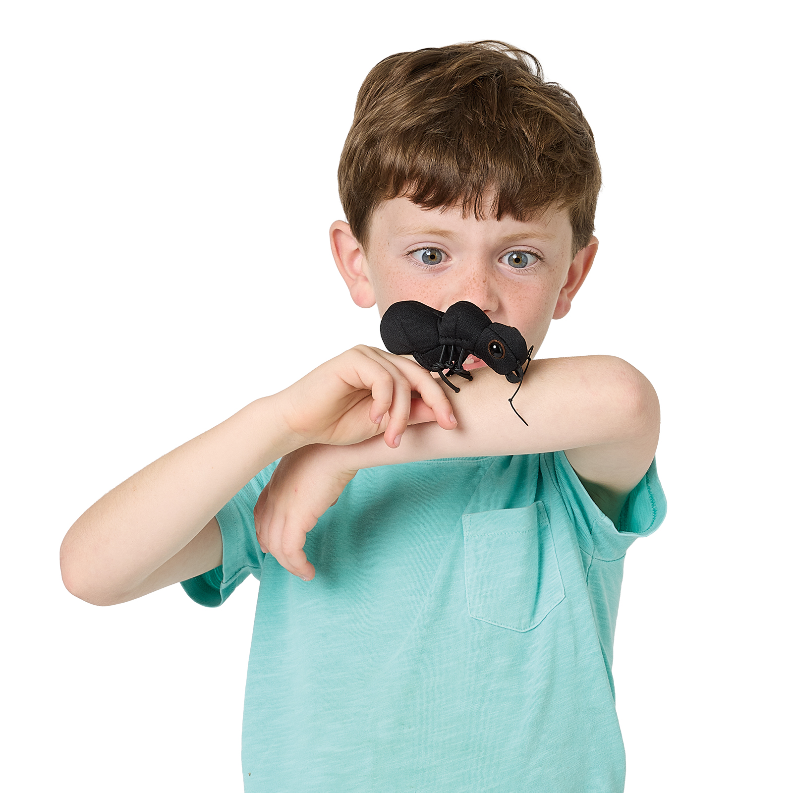 Junge trägt schwarze Folkmanis Fingerpuppe mini Ameise am Zeigefinger, die seinen Arm zu beißen scheint