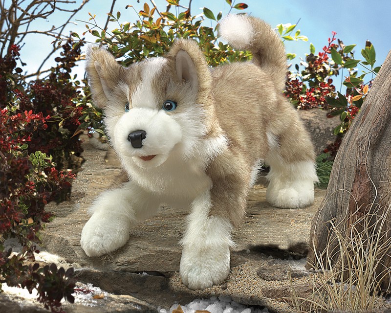 Folkmanis hand puppet wolf pup with beige fur, white muzzle and blue eyes in a play position on rocks