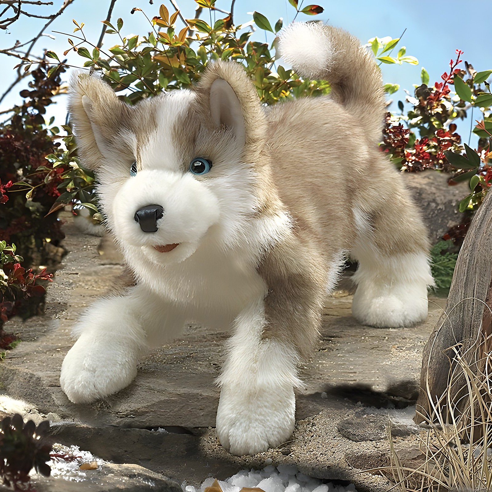 Folkmanis hand puppet wolf pup with beige fur, white muzzle and blue eyes in a play position on rocks