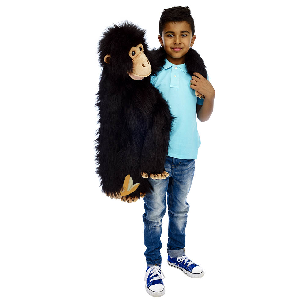 Boy in a blue polo shirt holding the The Puppet Company giant chimpanzee hand puppet in his arms, usage example