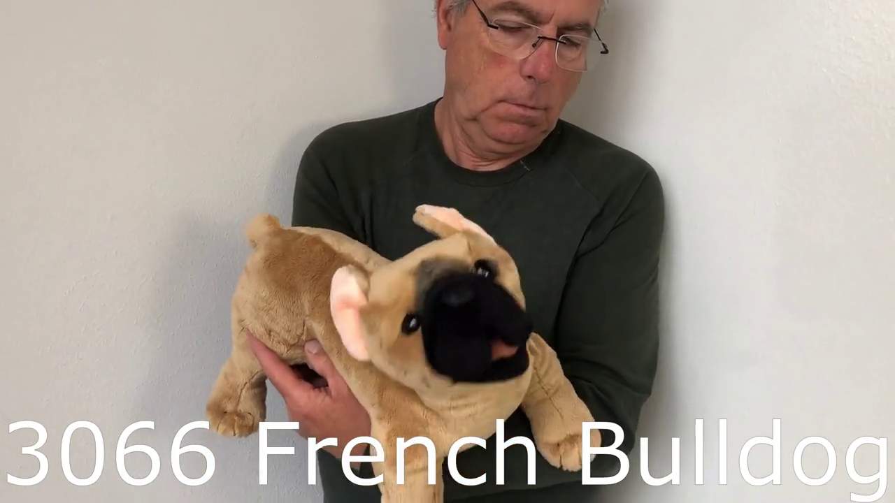 Folkmanis Handpuppe französische Bulldogge Demo 2