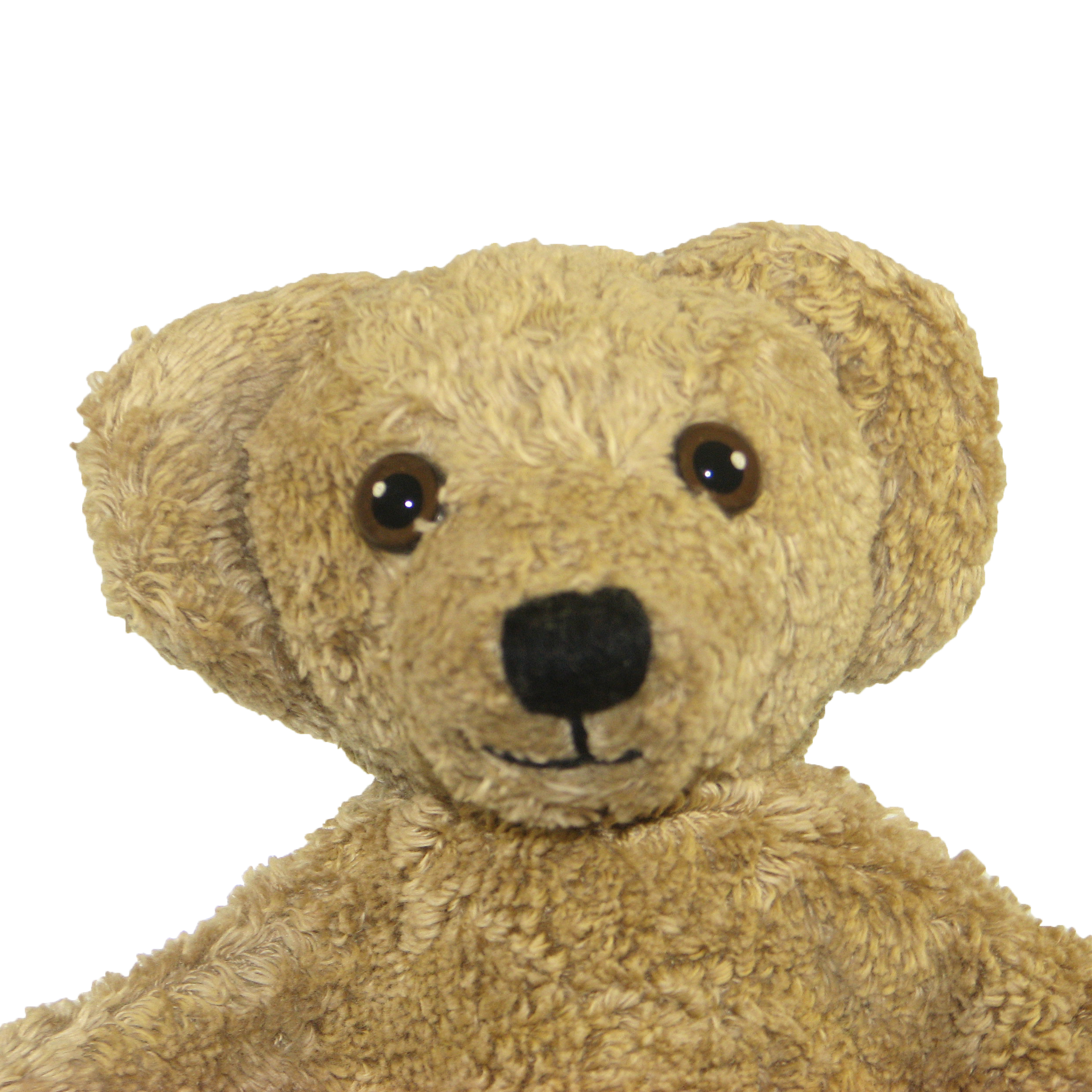 Kallisto hand puppet bear caramel, close-up of the face with a black nose and light brown fur