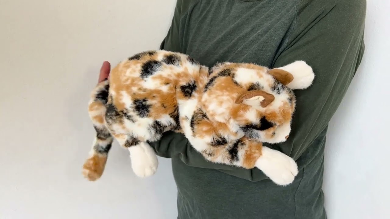 Folkmanis Calico Cat Hand Puppet Demo