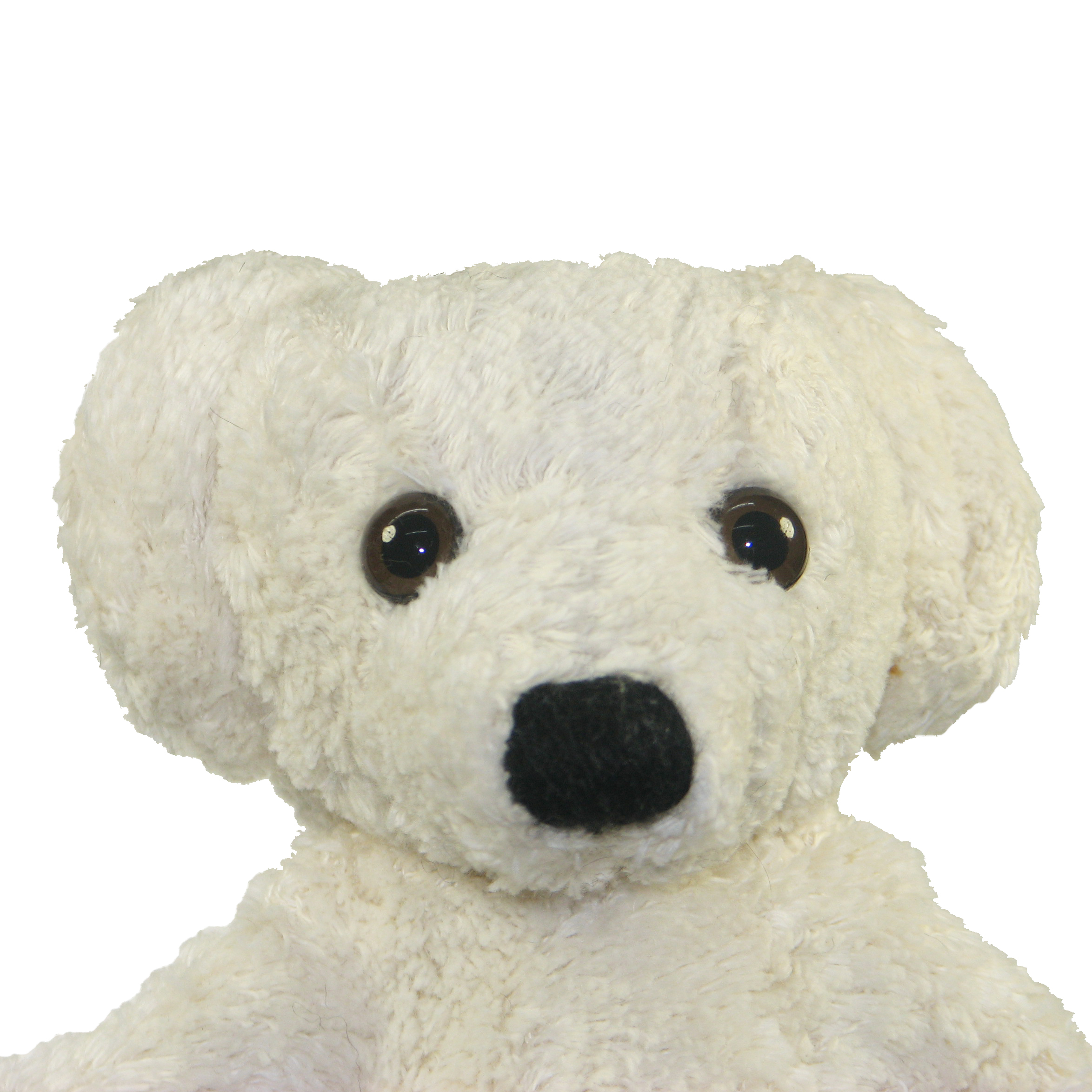 Kallisto hand puppet bear white, close-up of the face with a black nose and cream-white fur