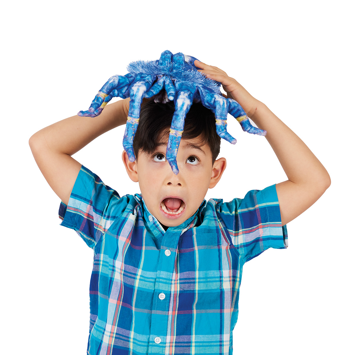 Boy holds the Folkmanis Blue Tarantula hand puppet with eight legs on his head, mouth wide open in surprise