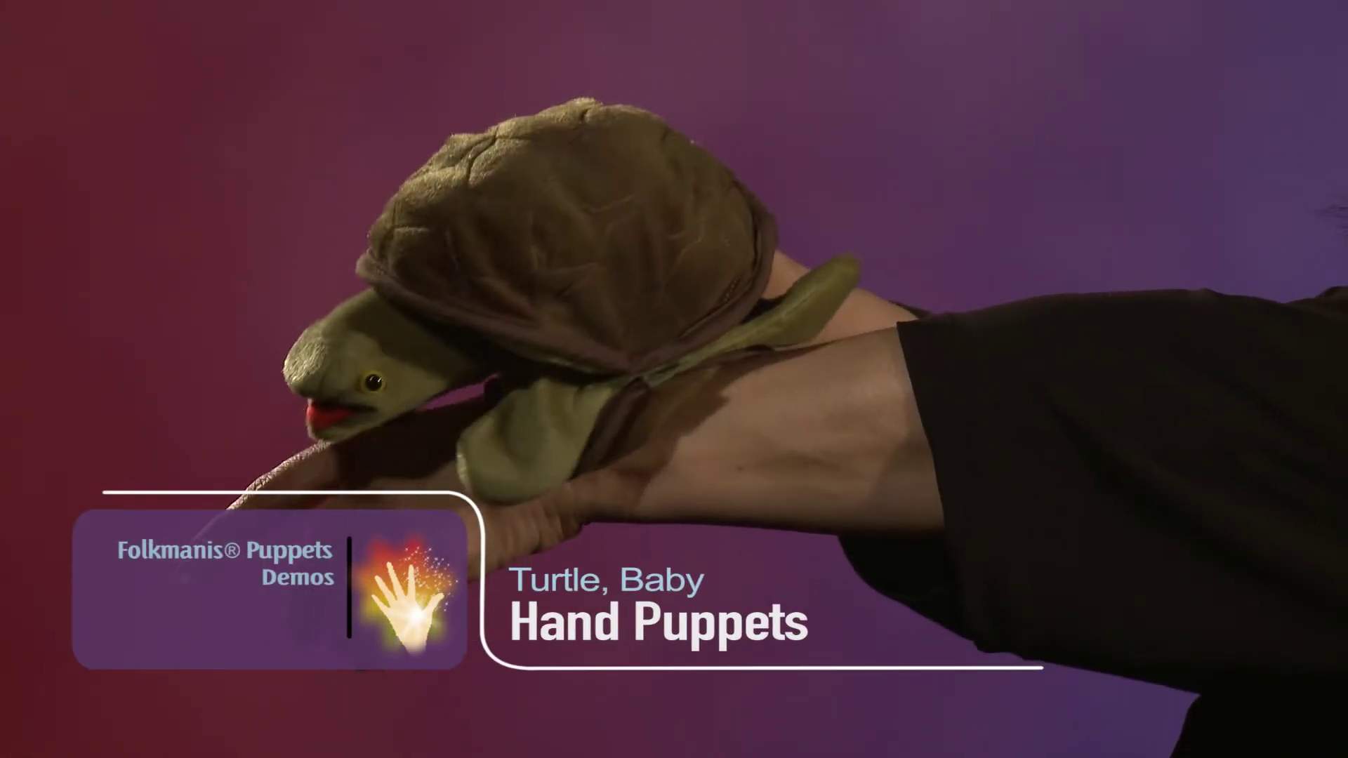 Folkmanis Handpuppe Baby Schildkröte Demo