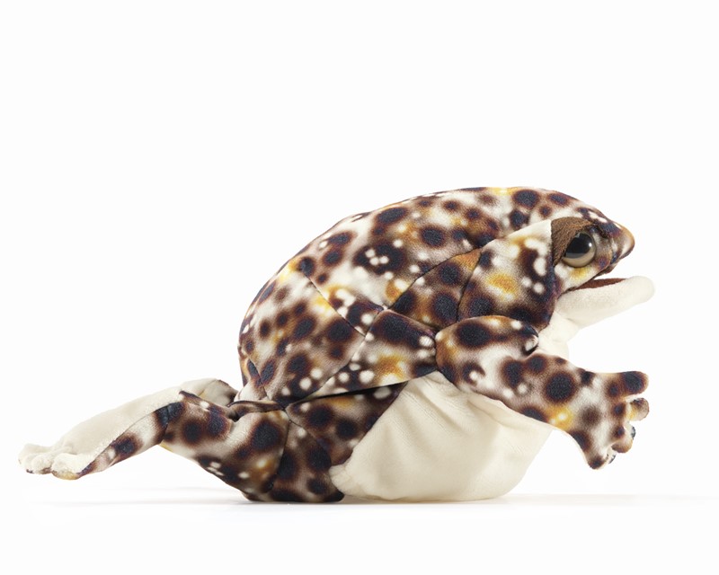 Folkmanis Handpuppe Wüstenregenfrosch - Produktbild 3