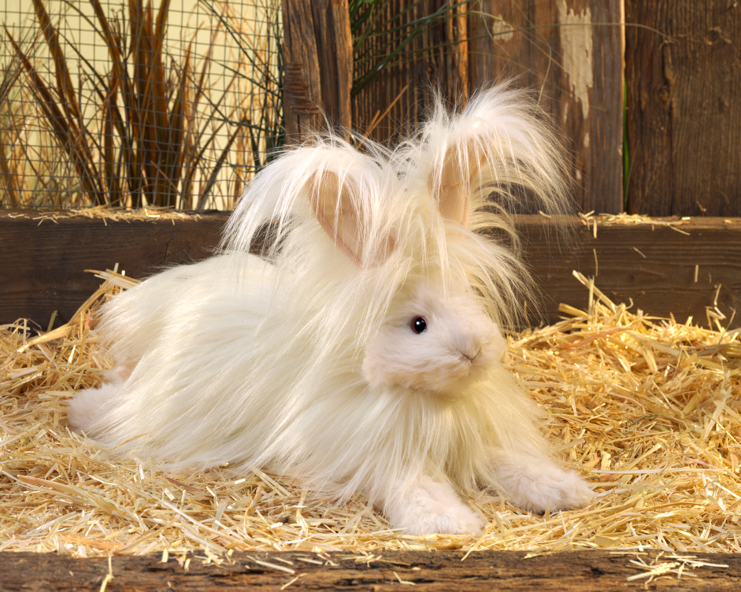 Folkmanis hand puppet angora rabbit with long creamy-white fur, sitting in straw, side view