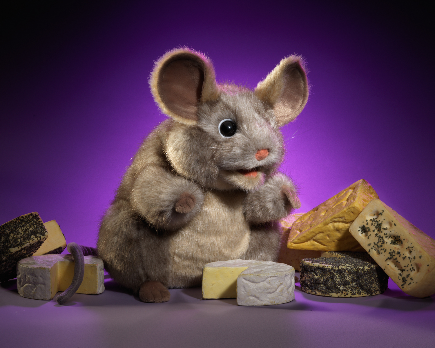 Folkmanis Handpuppe graue Maus mit großen Ohren, vor violettem Hintergrund, umgeben von verschiedenen Käsesorten