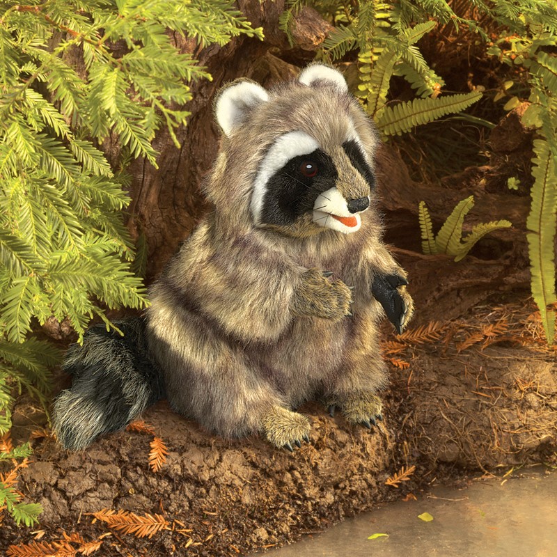 Folkmanis Handpuppe Waschbär mit beweglichem Maul, grau-braunem Fell und charakteristischer schwarzer Gesichtsmaske, sitzend vor Baumwurzeln