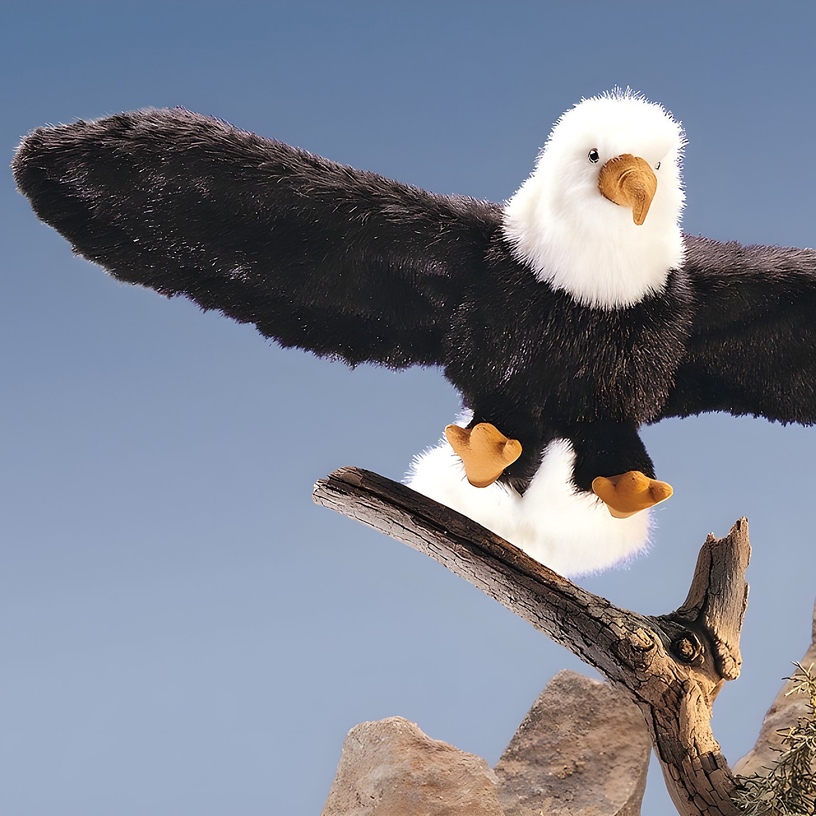 Folkmanis hand puppet bald eagle with spread black wings and white head perched on a branch