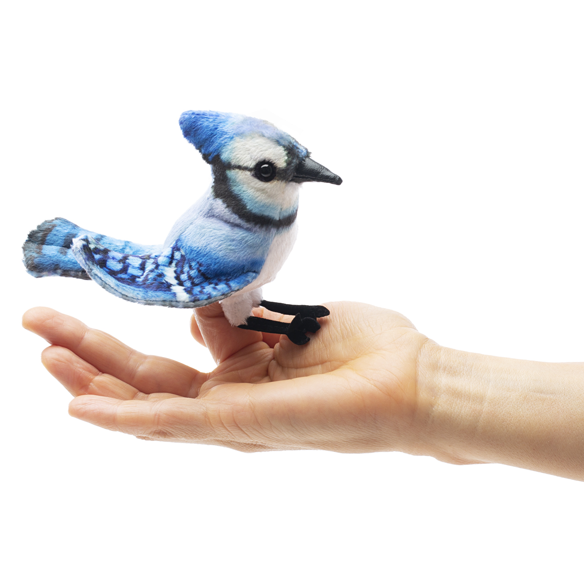 Folkmanis mini blue jay finger puppet perched on an index finger, side view showing blue plumage and black beak