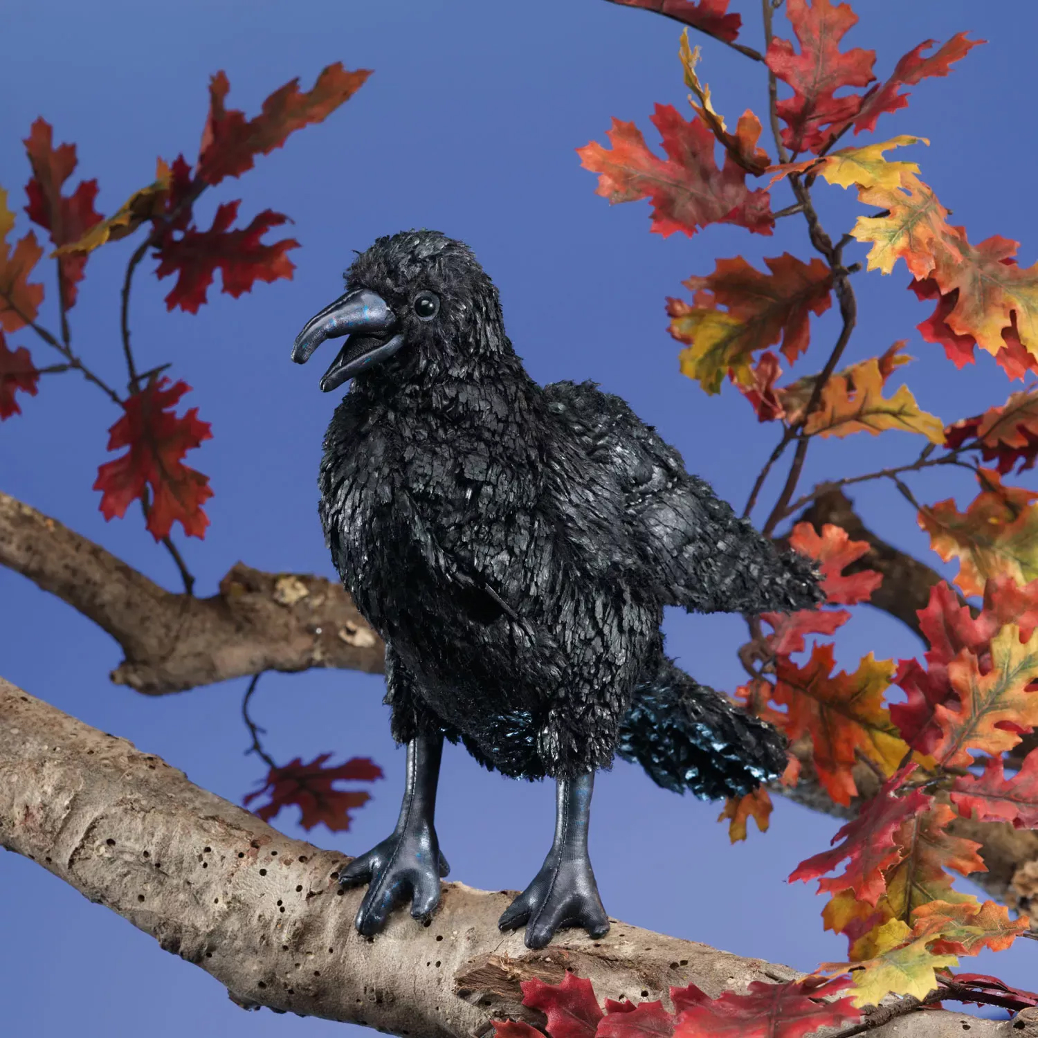 Folkmanis crow hand puppet with black ruffled feathers and open beak, posed on a branch with autumn leaves
