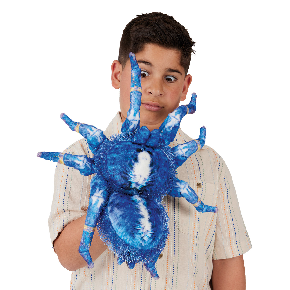 Junge führt die Folkmanis Handpuppe Blaue Vogelspinne mit blau-weißem Plüschkörper und acht Beinen an der Hand.
