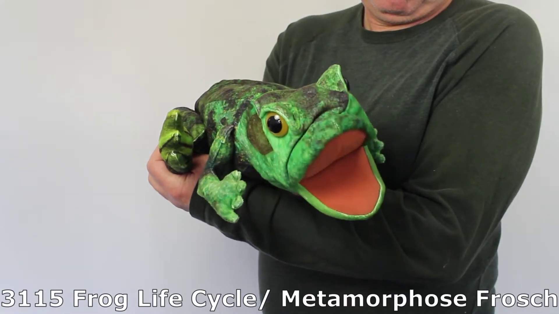 Folkmanis Handpuppe Metamorphose Frosch Demo