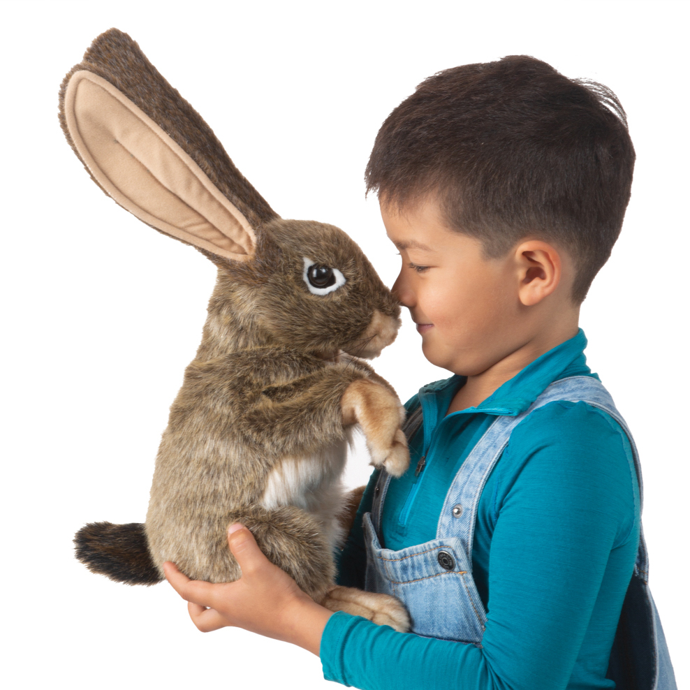 Folkmanis Handpuppe Feldhase mit langen aufrechten Ohren, braun-grauem Fell und weißem Bauch, von Kind auf weißem Hintergrund gehalten