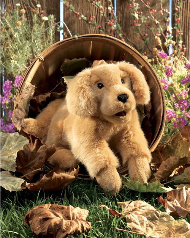 Folkmanis Handpuppe Golden Retriever Welpe in goldenem Plüsch, aus einem Weidenkorb lugend, umgeben von Herbstlaub
