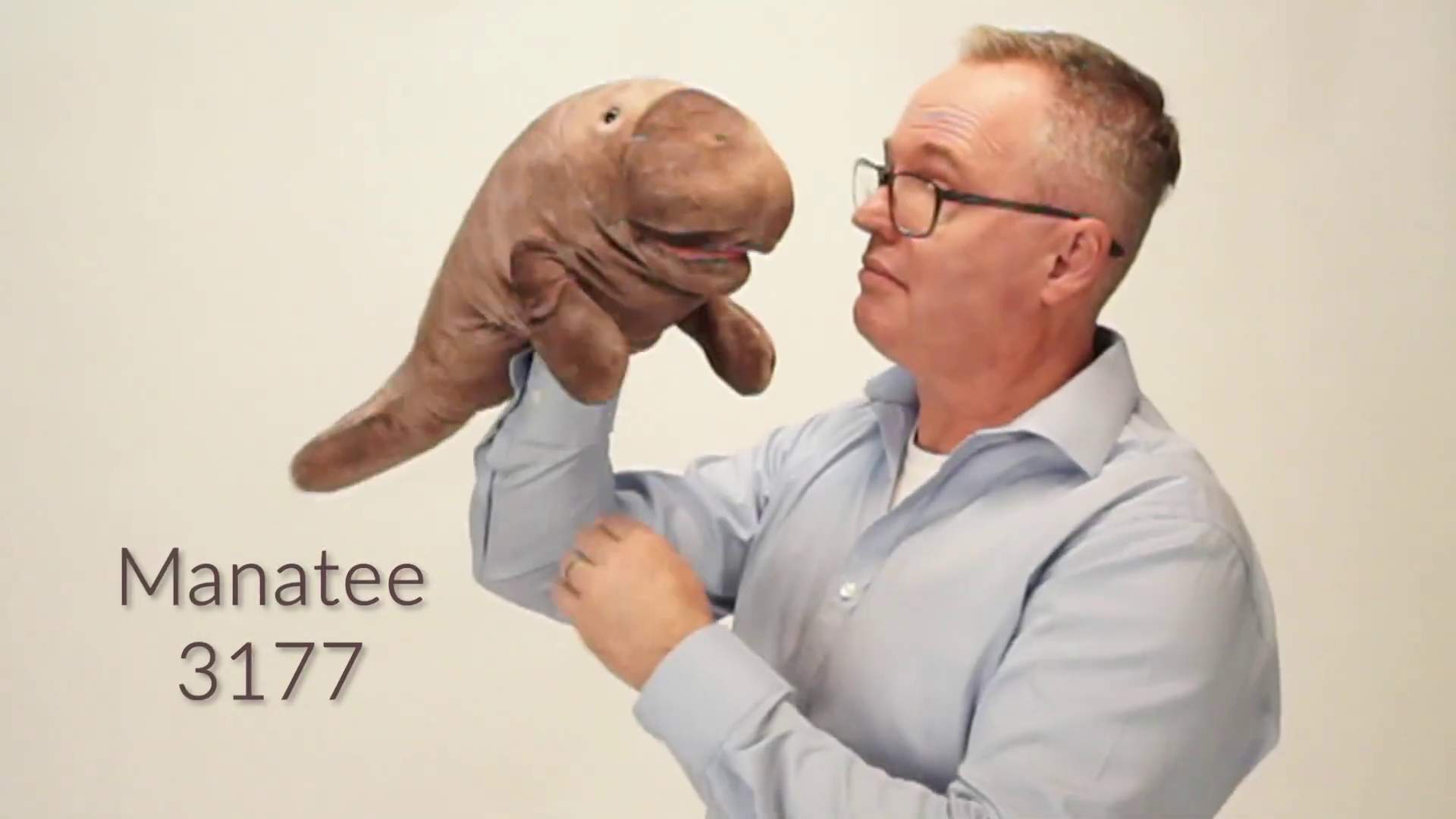 Folkmanis Handpuppe Seekuh Demo 2