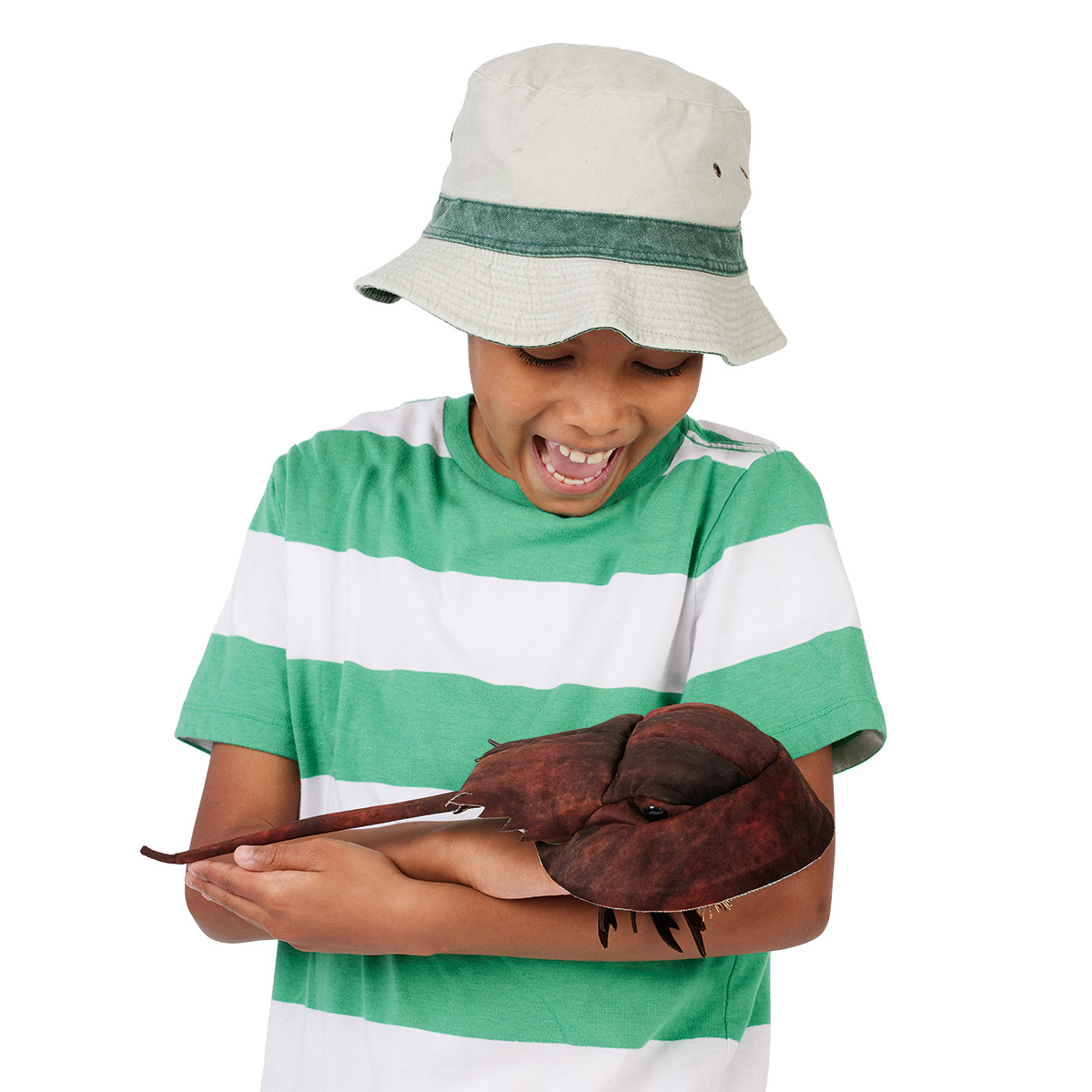 Laughing boy wearing a bucket hat holds the Folkmanis horseshoe crab hand puppet in dark brown on both arms