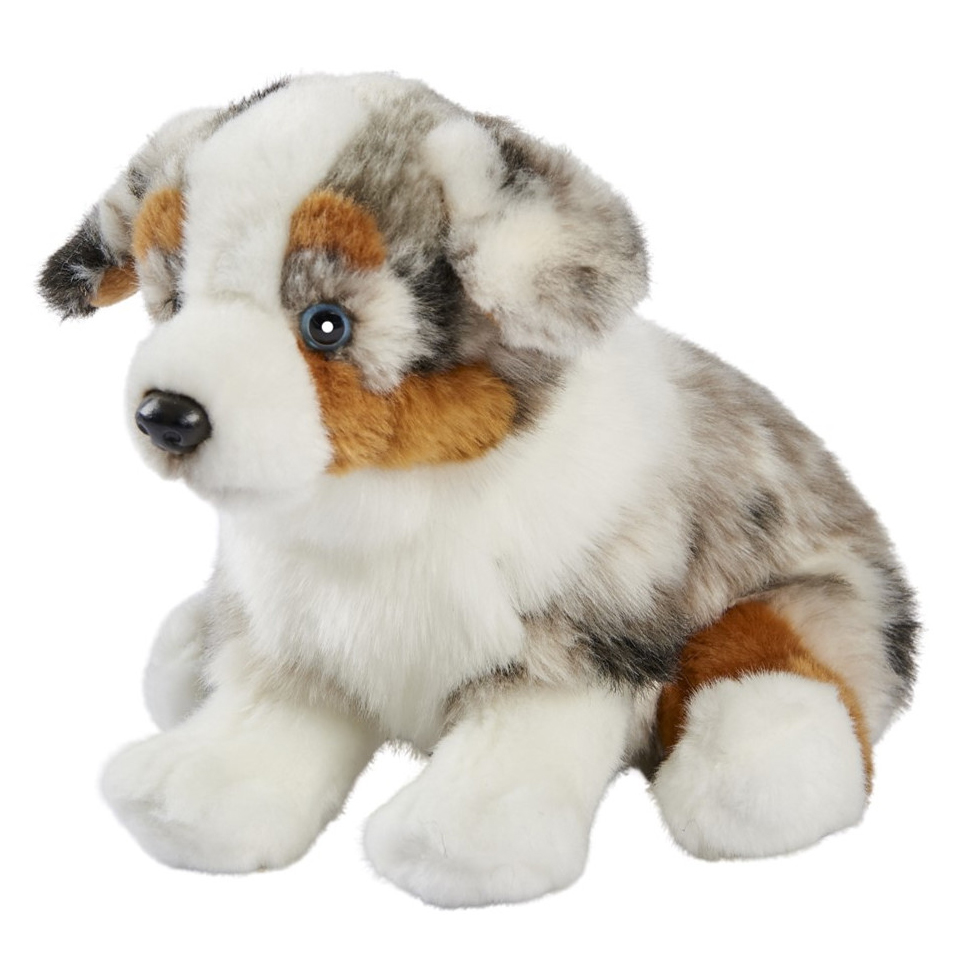 Sitting Australian Shepherd puppy by Anima in grey-white merle fur with brown markings