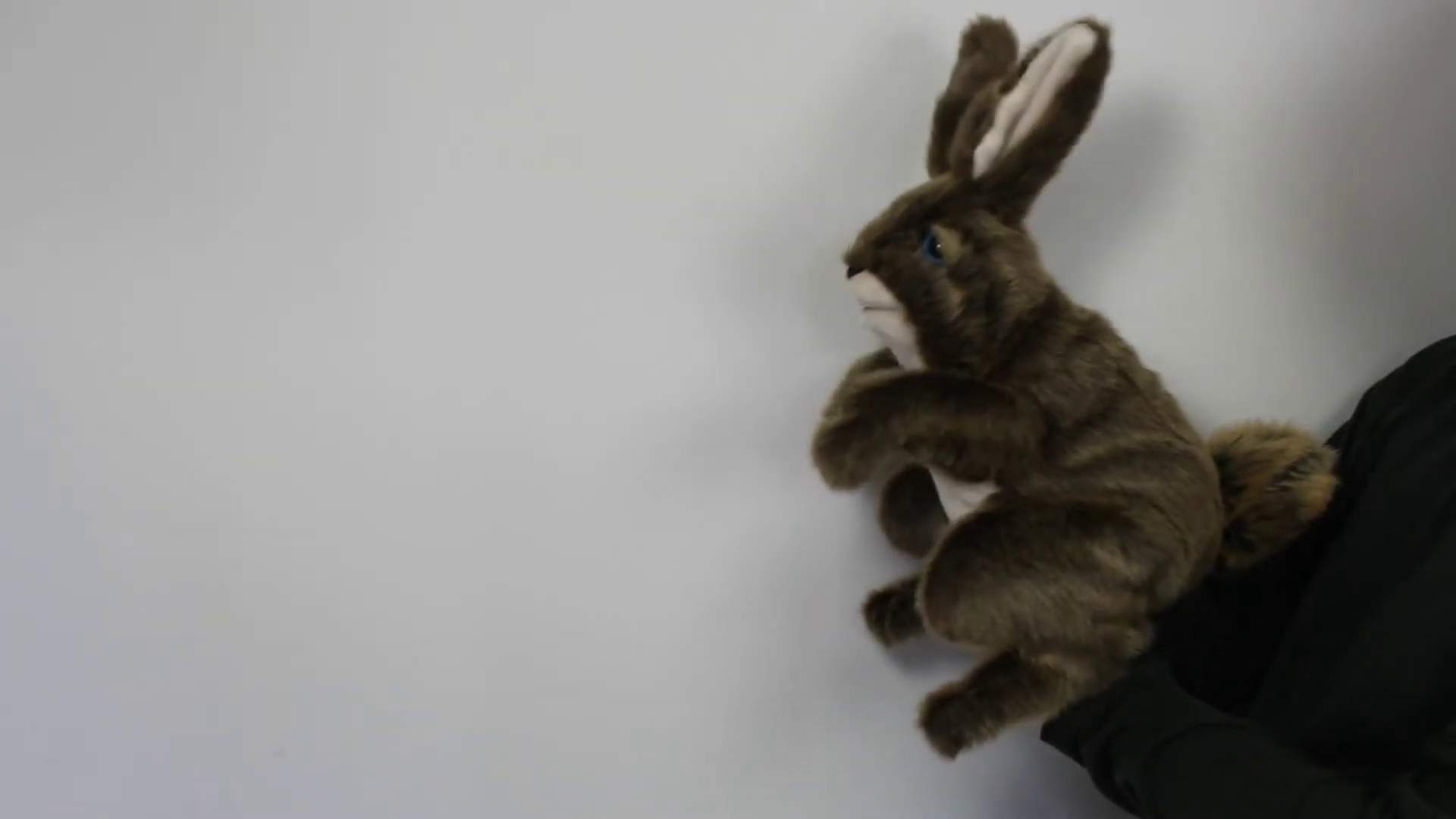 Folkmanis Handpuppe Hase Demo 2