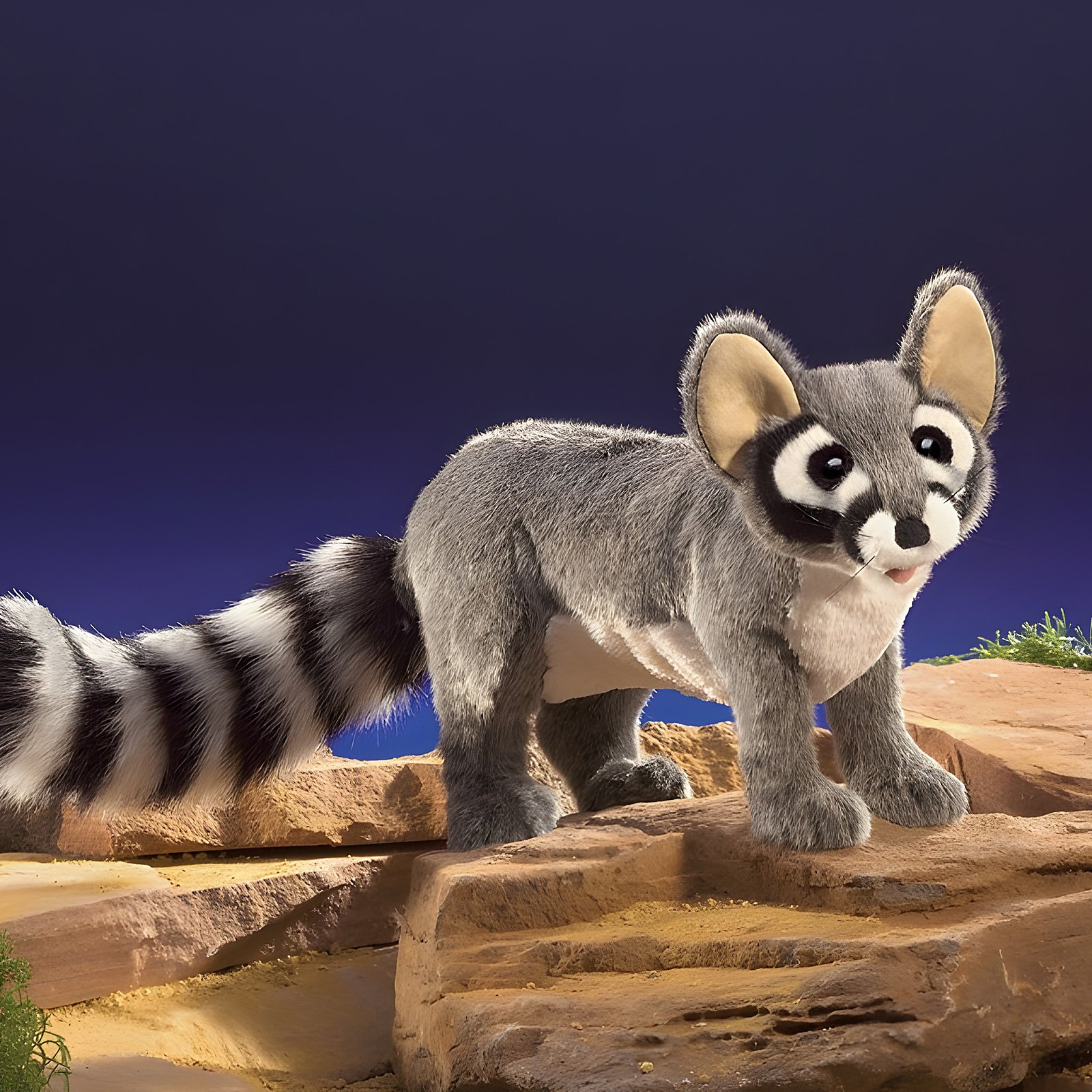 Folkmanis hand puppet ringtail cat with grey fur, black eye mask and black-and-white ringed tail, standing on sandstone rocks