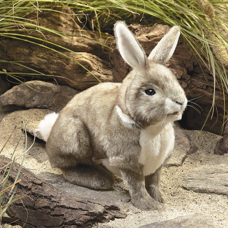 Folkmanis hand puppet cottontail rabbit with grey-brown fur, white tail and upright ears shown in side view