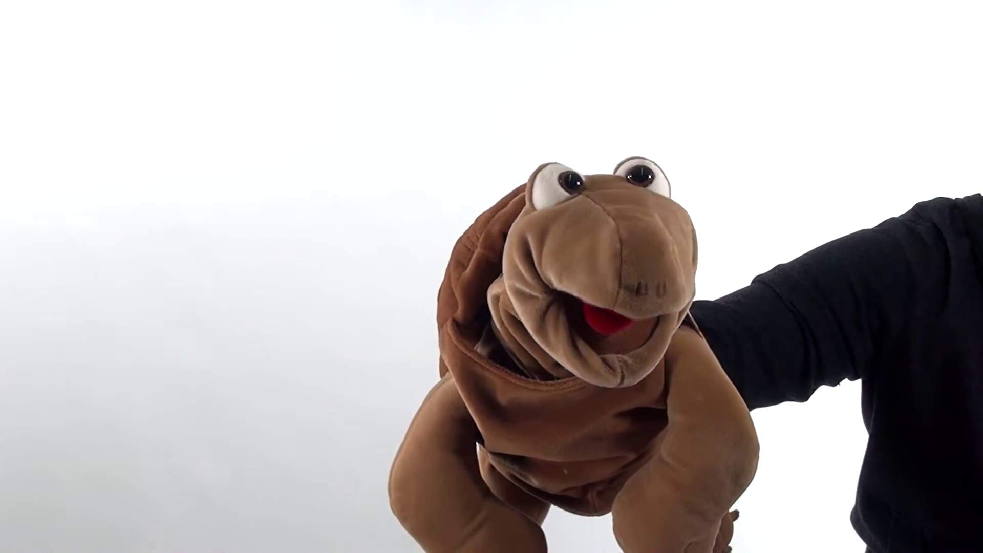 Video 2: Living Puppets Handpuppe Sammy die Schildkröte