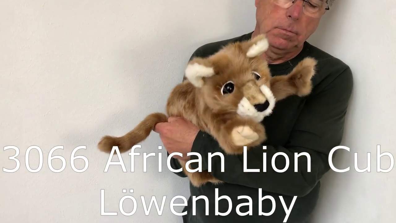 Folkmanis Handpuppe Löwenbaby Demo 2