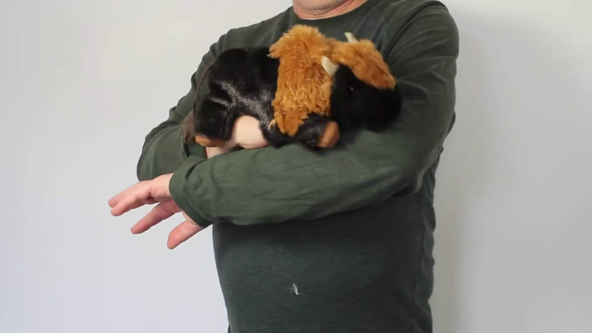 Folkmanis Handpuppe kleines Bison Demo