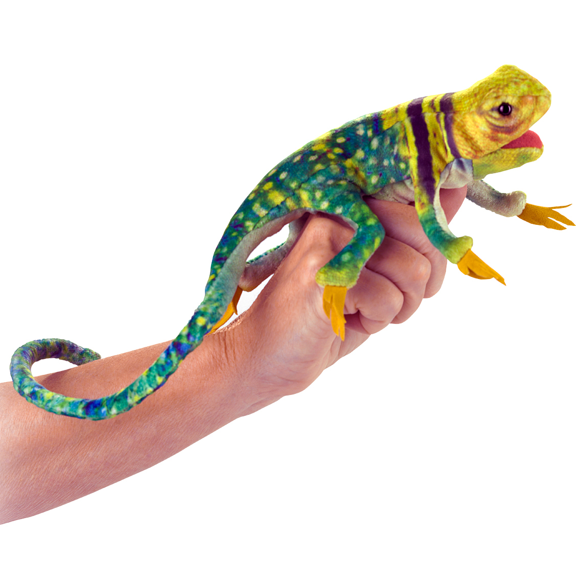 Folkmanis Fingerpuppe mini Halsbandleguan in Grün-Gelb mit lila Streifen, auf einem Finger sitzend, langer geringelter Schwanz