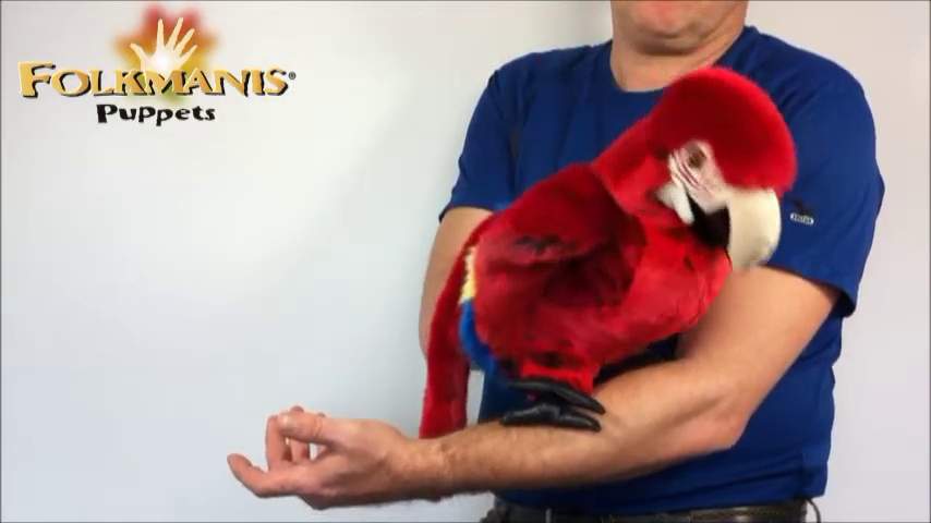 Folkmanis Handpuppe Papagei / Ara Demo 2