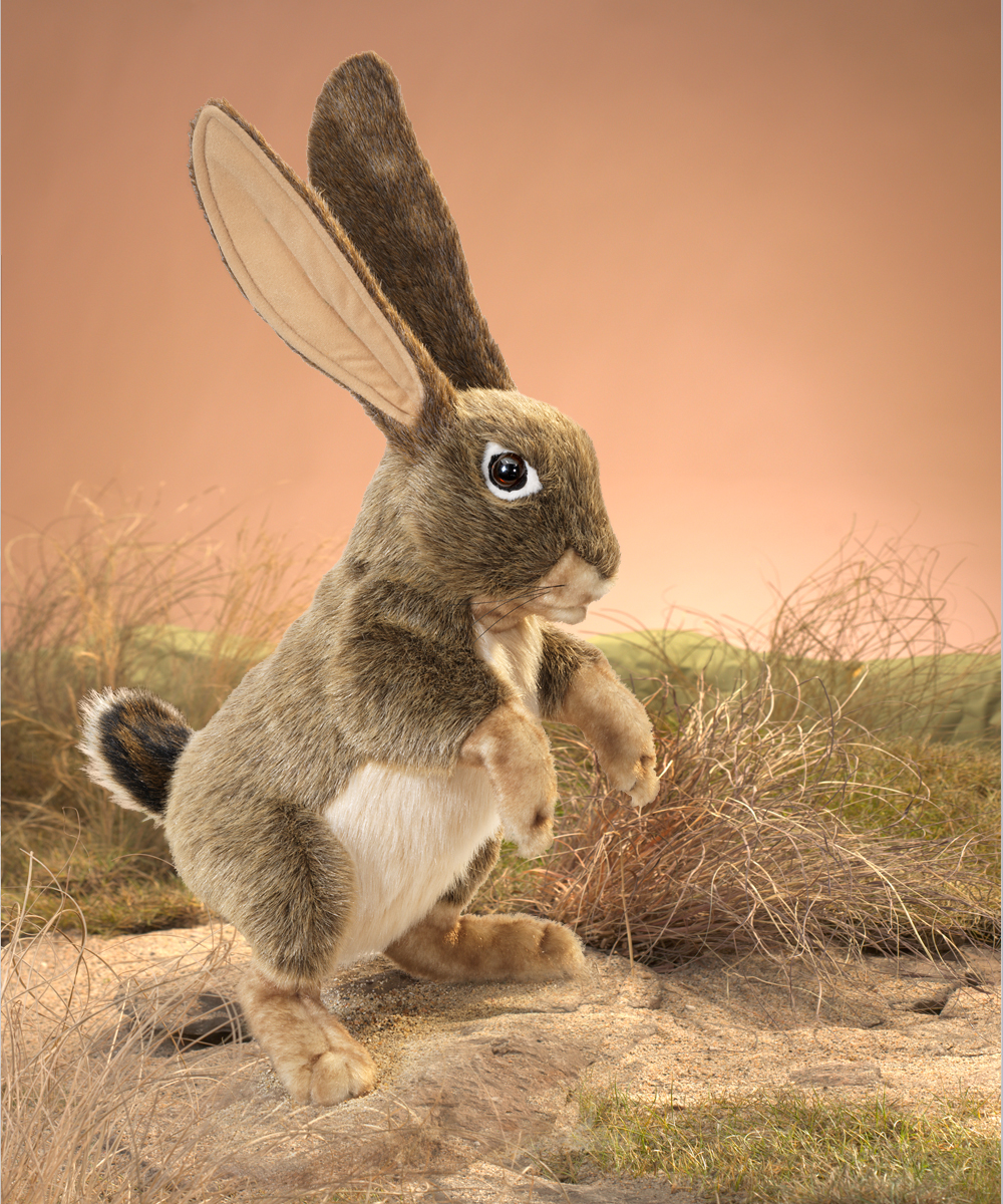 Folkmanis Jack Rabbit Hand Puppet Folkmanis Jack Rabbit Hand Puppet - Produktbild 2