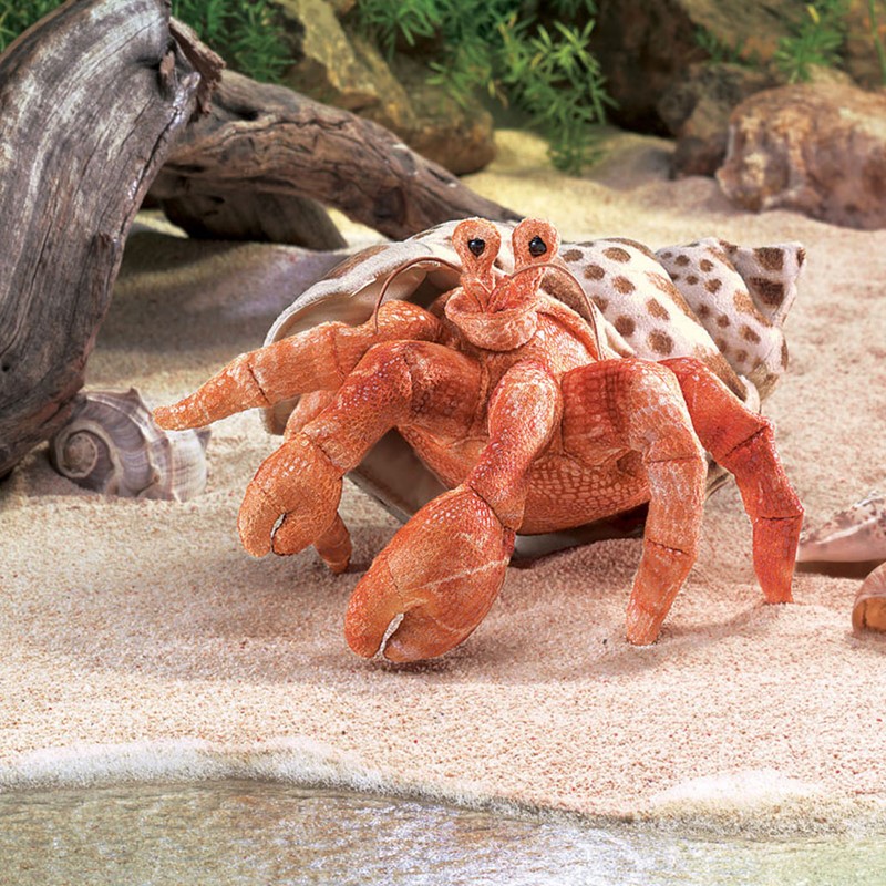Folkmanis hand puppet hermit crab in orange-red with textured surface, emerging from a spotted snail shell, sandy beach setting