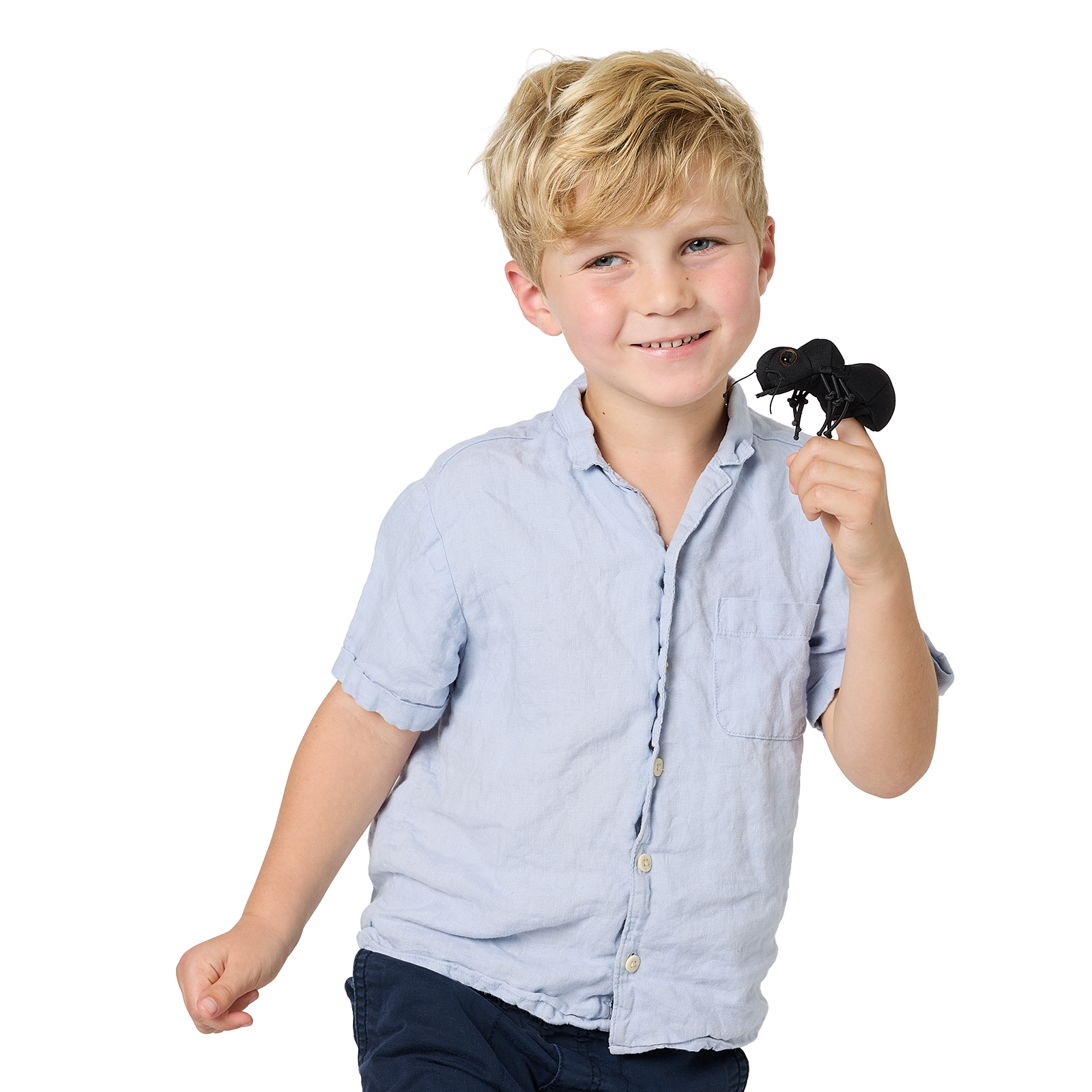 Lächelnder Junge hält die schwarze Folkmanis Fingerpuppe mini Ameise in die Höhe, Studioaufnahme vor weißem Hintergrund.