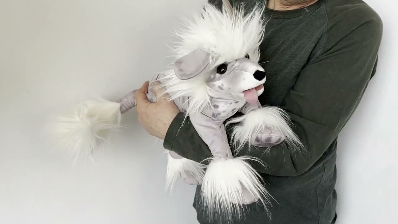 Folkmanis Chinese Crested Dog Hand Puppet Demo