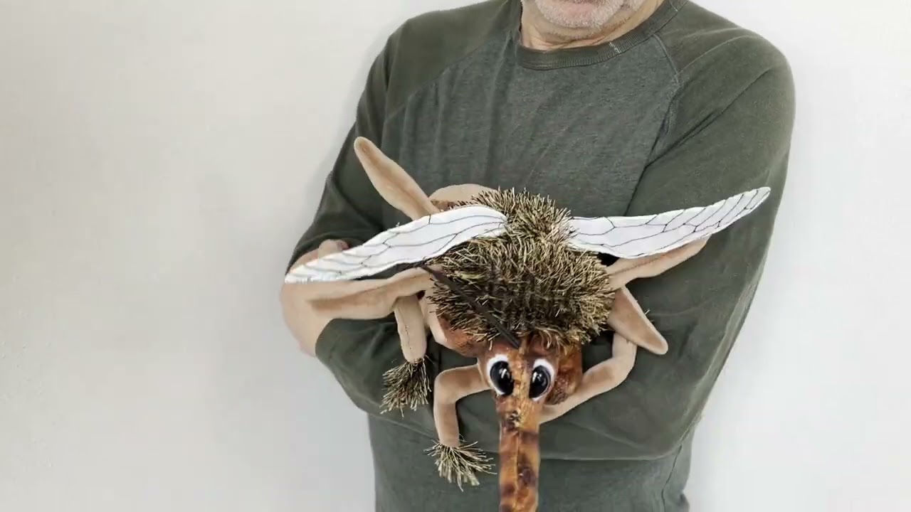 Folkmanis Mosquito Hand Puppet Demo