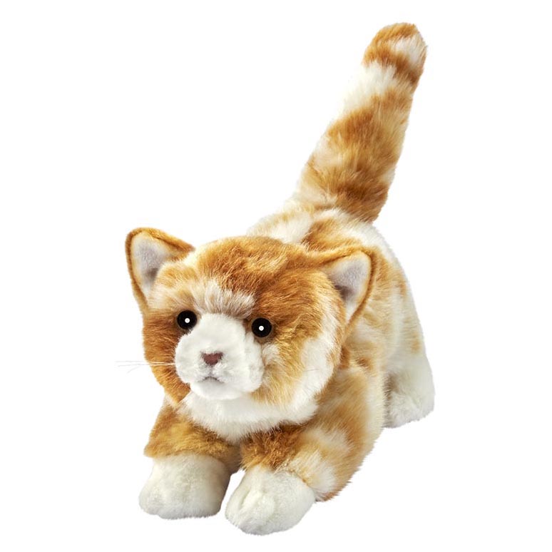 Playful kitten by Anima with ginger-and-white tabby fur, crouching with a raised tail