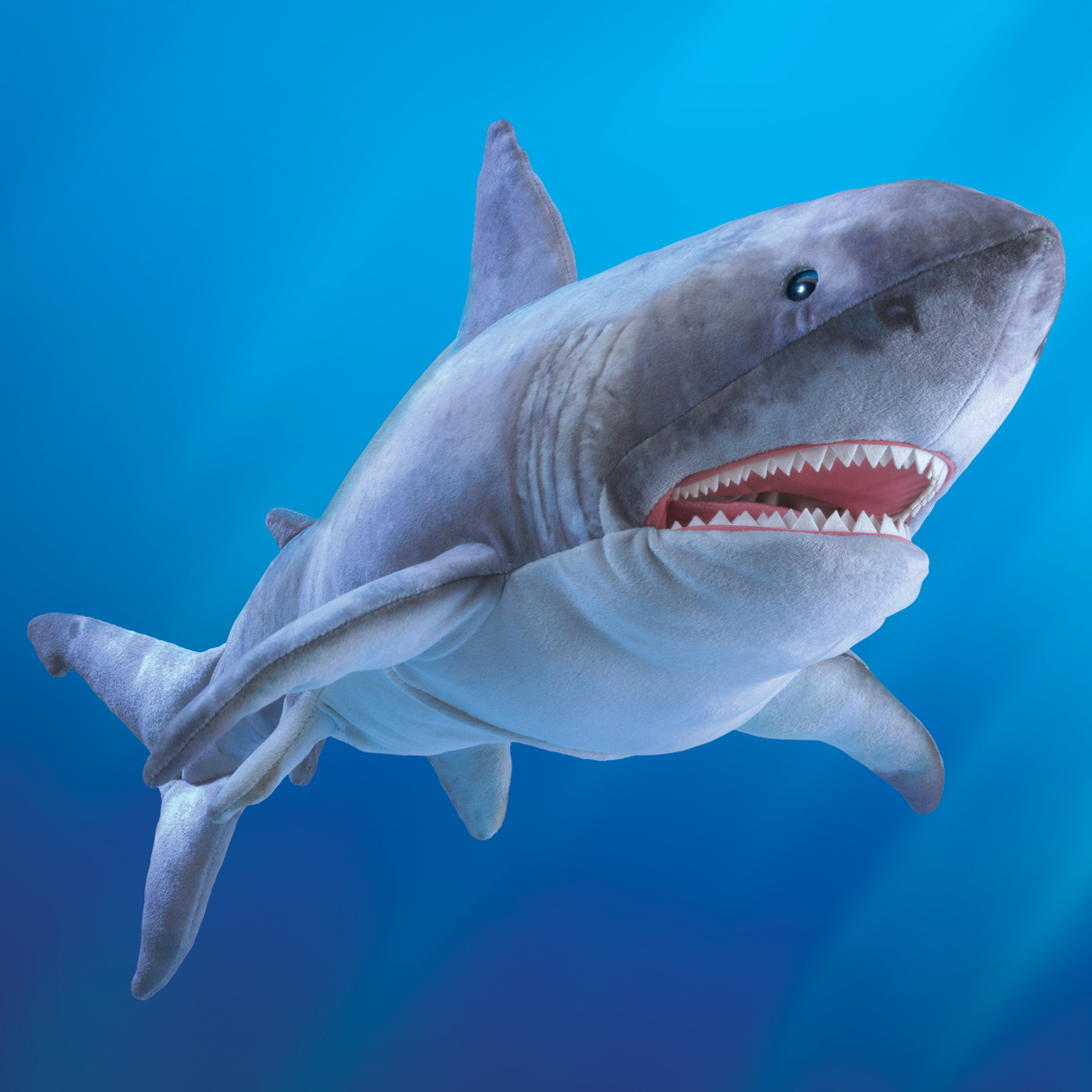 Folkmanis great white shark hand puppet made of grey plush with open mouth and white teeth against a blue background