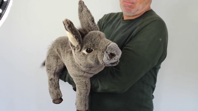 Folkmanis Handpuppe Eselbaby Demo
