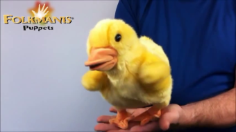 Folkmanis Duckling Hand Puppet Demo 2