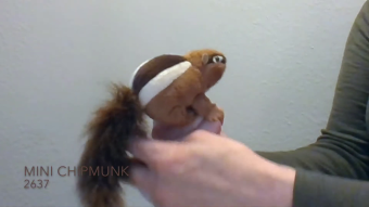 Folkmanis Fingerpuppe mini Streifenhörnchen Demo