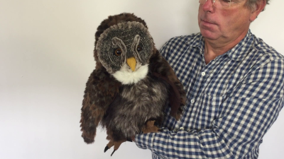 Folkmanis Handpuppe Eule mit Huhu-Effekt Demo