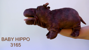 Folkmanis Baby Hippo Hand Puppet Demo