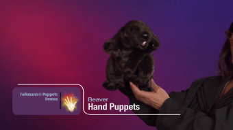 Folkmanis Handpuppe Biber Demo